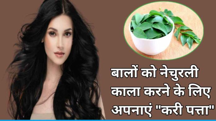 Use Curry Leaves To Darken Hair