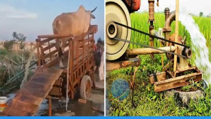IAS Awanish Sharan shared a video of the invention of villagers who made a machine to extract water from a cow.