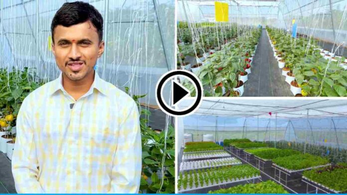 Benifits of Hydroponic farming