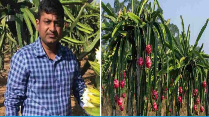 Dr. Srinivas is earning crores by cultivating dragon fruit