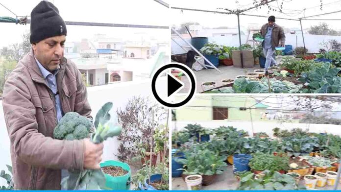 Umed Singh is doing organic farming and growing many vegetables