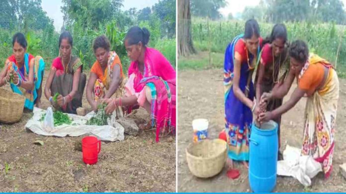Women of Jharkhand are becoming self-reliant by making matka compost
