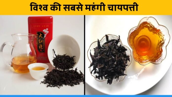Know about World's most expansive tea Da-Hong Pao
