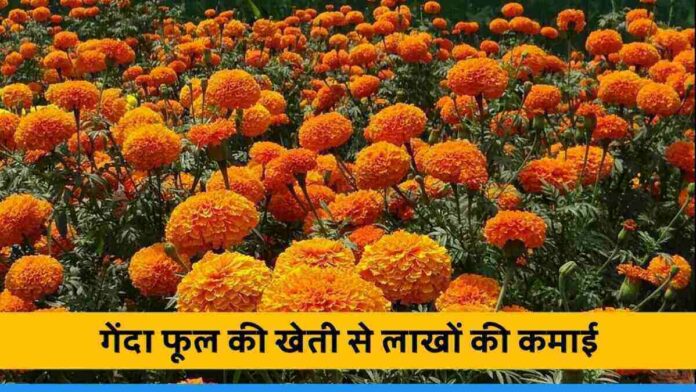 Jharkhand Ex-Army man Eric Munda earning better income by marigold flower farming