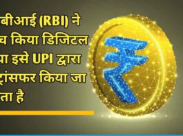 RBI launched digital rupee