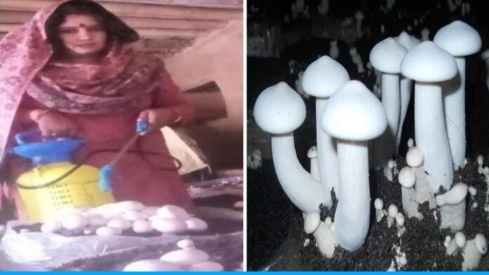 Shikha is also training people along with earning well by cultivating mushrooms.