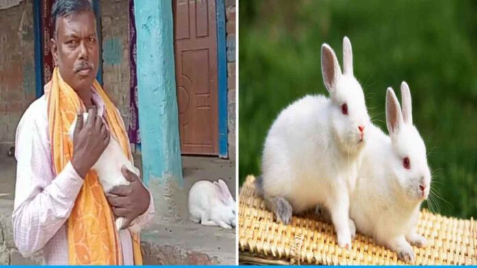 Sitaram Kewat is earning good money by rearing rabbitsSitaram Kewat is earning good money by rearing rabbits
