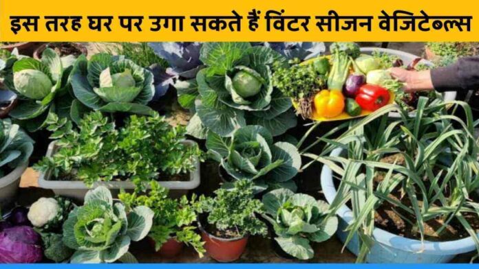 How to grow green vegetables in winter season at home