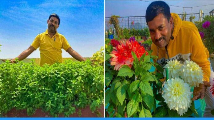 Ramvilas of Haryana doing terrace gardening, grows vegetables and fruits in 4000 pots
