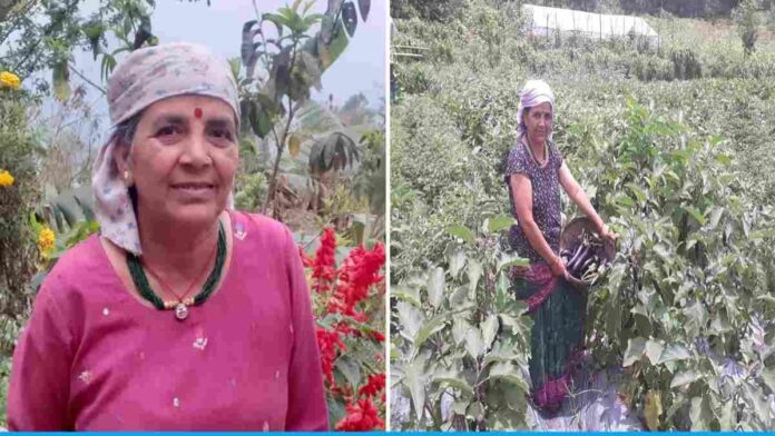 Dilli Maya Bhattarai is earning three times more by doing organic farming