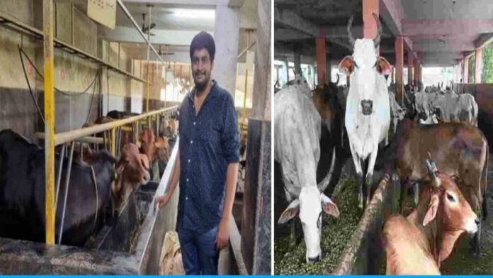 Jaiguru Achar Hind left engineering job and started cow rearing and earning lakhs