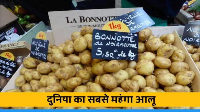 World's Most Expensive Potato Le Bonnotte