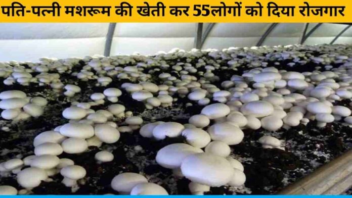 Husband-wife gave employment to 55 people by cultivating mushrooms