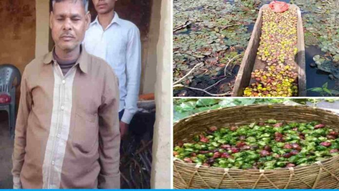 Madan Kahar is earning well from water chestnut farming