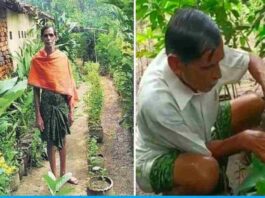 Patayat Sahu honored with Padma Shri award for planting 3000 medicinal trees
