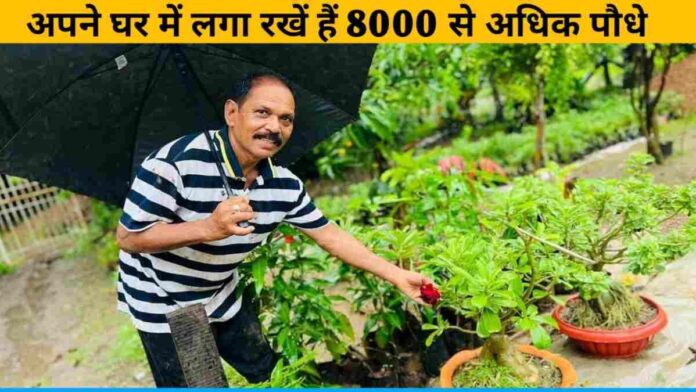 Sureshchand Patel keeps more than 8000 plants in his house