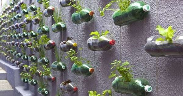 grow vegetables in bottles
