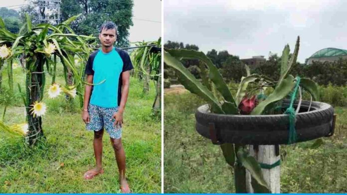 Ravindra Pandey quit his foreign job and started strawberry cultivation