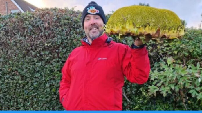 Farmer Kevin Forte sets Guinness World Record by growing world's largest sunflower