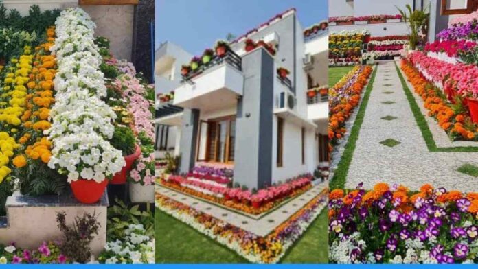 Viral photos of civil servant home garden share by IRAS Ananth Rupanagudi