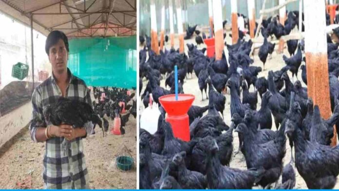 vipin shivhare started kadaknath poultry farming business