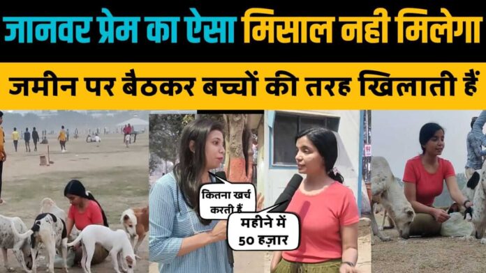 Animal Lover Nandani Pandey From Patna Feeds Stray dogs in Gandhi Maidan