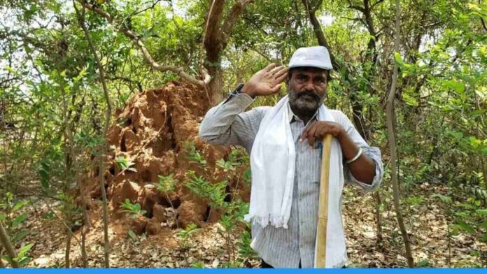 Forest man Disharla Satyanarayana grown forest in 70 acres land