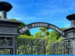 World's Deadliest Garden The Alnwick Poison Garden at Northumberland, United Kingdom