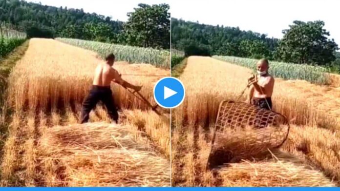 Viral Video of farmer made unique wheat cutting machine with jugaad