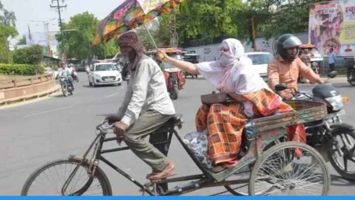 viral photo of a woman put an umbrella over rickshaw driver