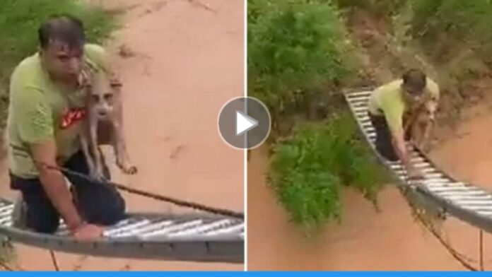 Viral video of fireman who rescued Puppy trapped in torrential water